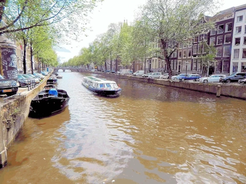 Canals, Museums & Windmills - Explore Amsterdam's Charm