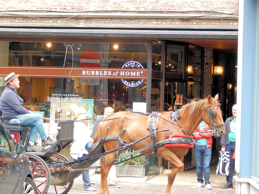 Exploring the Canals & History of Bruges, Belgium