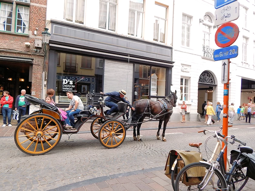 Exploring the Canals & History of Bruges, Belgium