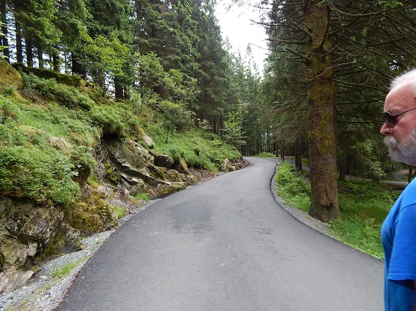 Mount Fløyen Trail