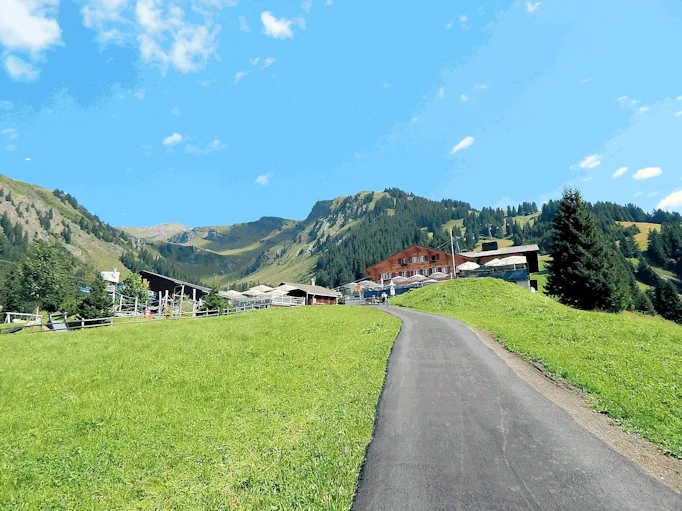 Explore Grindelwald's Glaciers, Mountains & Traditions