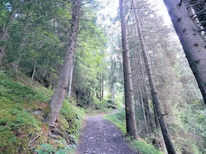 Forest Trail back to Grindelwald