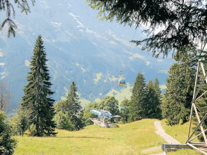 Forest Trail back to Grindelwald