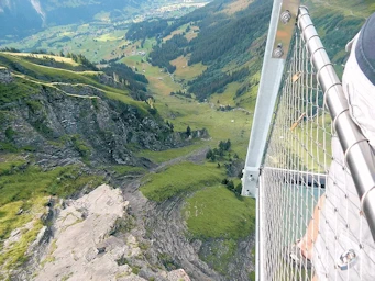 Looking down from the Observation Platform