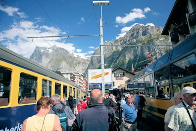 Explore Grindelwald's Glaciers, Mountains & Traditions