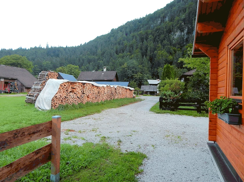Our Cabin Rental Neighbor