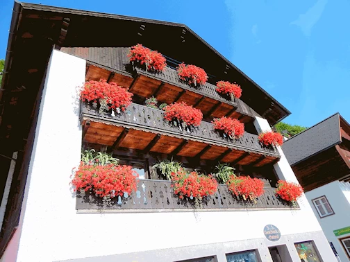 Hallstatt Village Houses Decorations