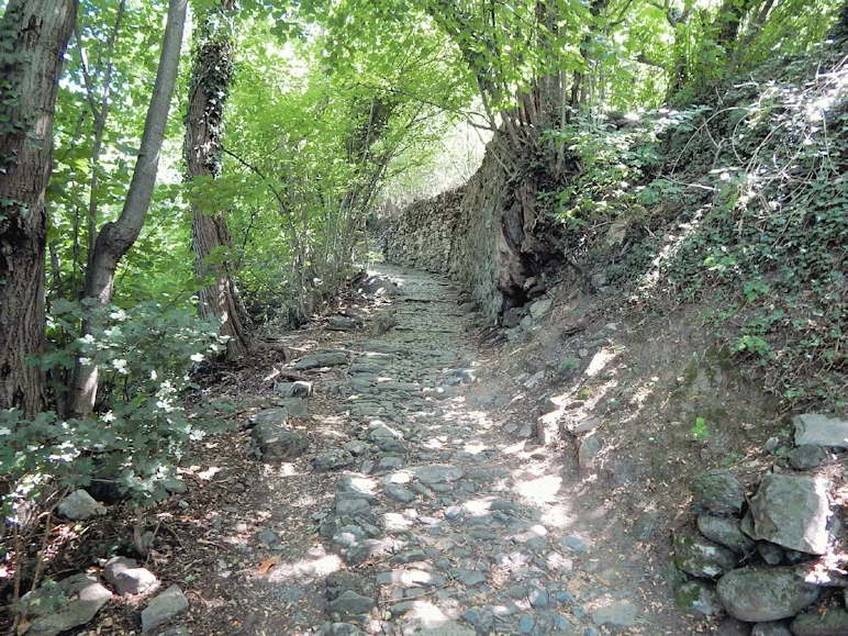Steep Cobblestone Access Path