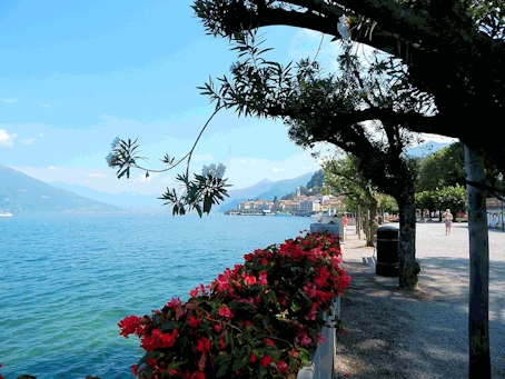 A description and images from our Trip to Lake Como.