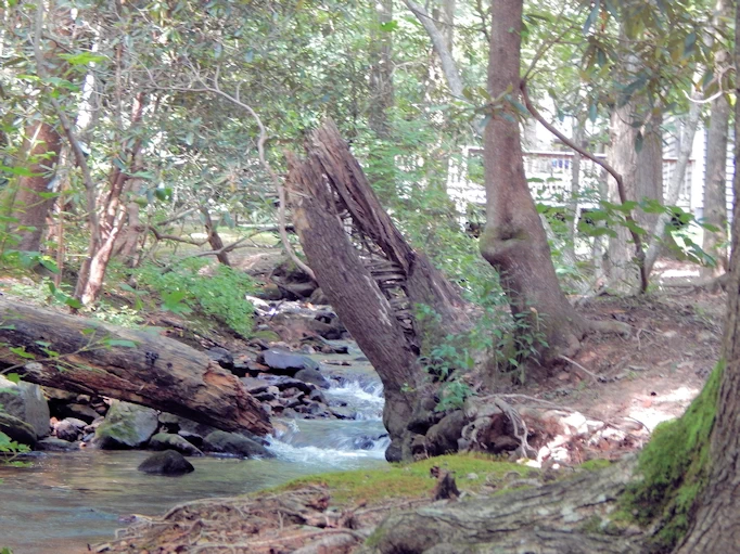 Hike to the Top of Georgia's Highest Waterfall