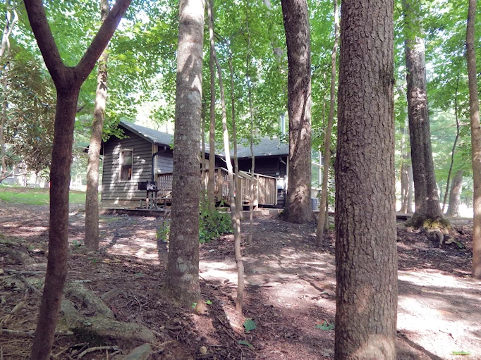 Cabin view from the Stream