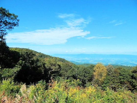 Northern View of the Shenandoah Valley