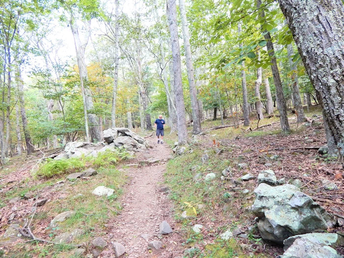 Hiking, Exploring and Enjoying the Blue Ridge Mountains