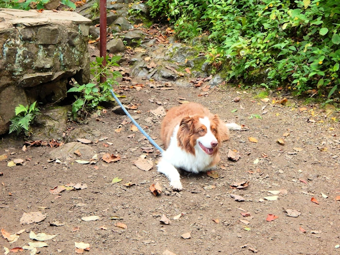 Hiking, Exploring and Enjoying the Blue Ridge Mountains