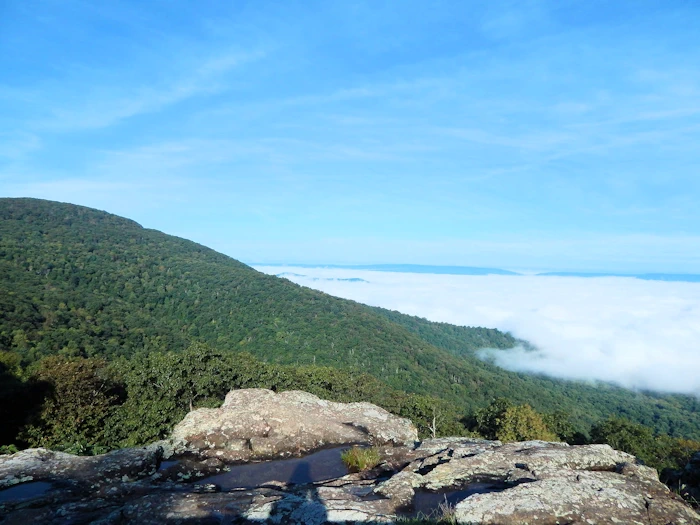 Southern View of the Shenandoah Valley