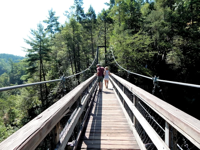 Explore Waterfalls & Nature at Tallulah Gorge