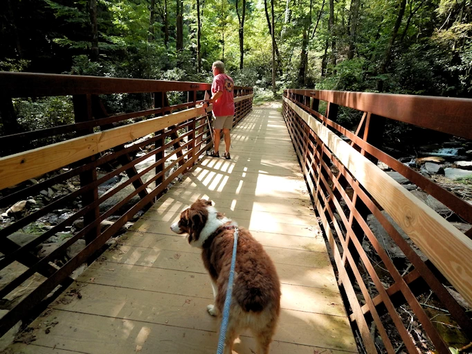 Explore Waterfalls & Nature at Tallulah Gorge