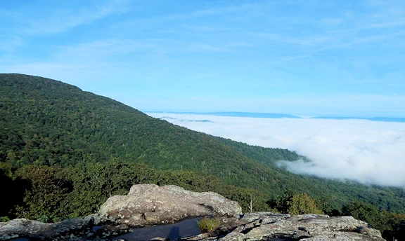 A description and images from our 2018 Trip through the Blue Ridge Mountains.