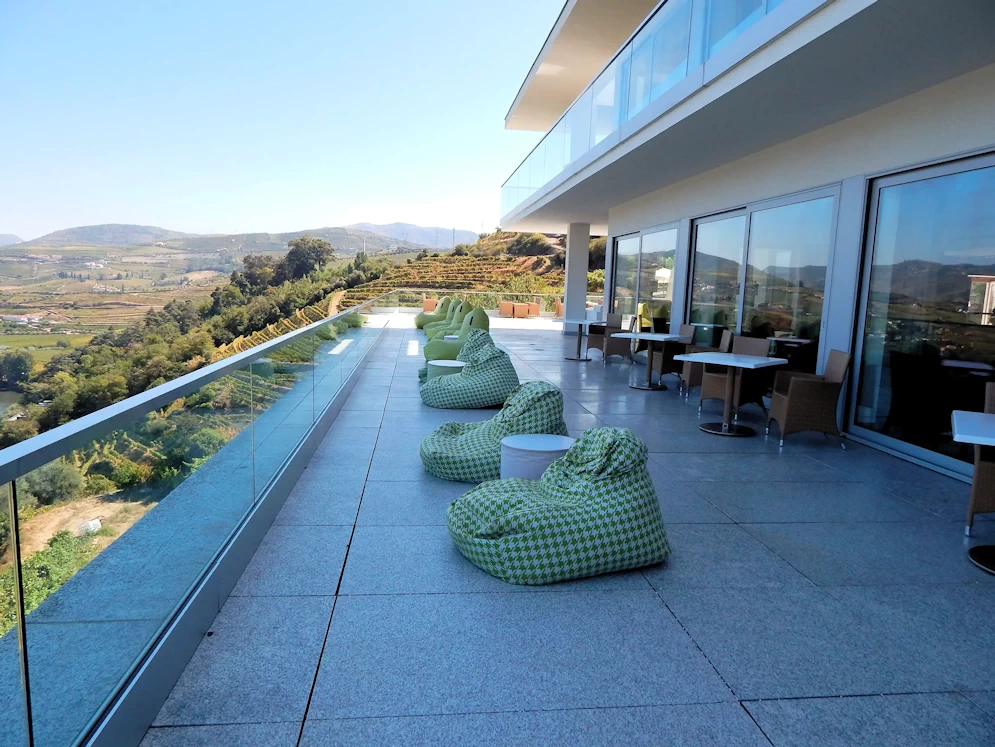 Delfim Douro Hotel Patio