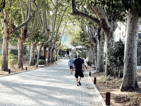 Quinta da Pacheca Winery Arrival