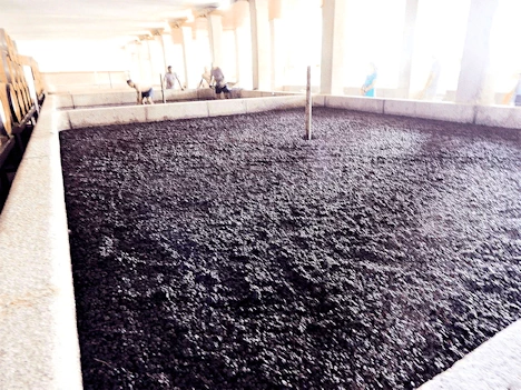 Quinta da Pacheca Grape Smashing Pit