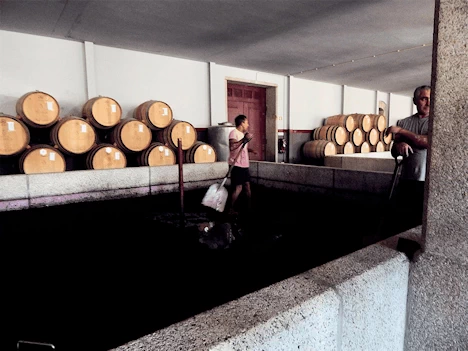 Quinta da Pacheca Smashing Pit