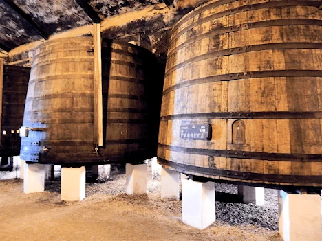 Quinta da Pacheca Large Vats