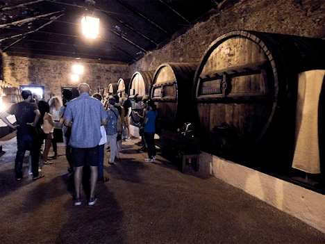Quinta da Pacheca Wine Barrels