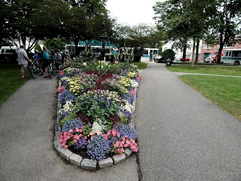 Village Green Area