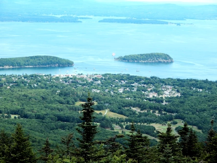 Must-See Carriage Roads, Bar Harbor & Wildlife
