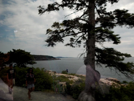 Must-See Carriage Roads, Bar Harbor & Wildlife