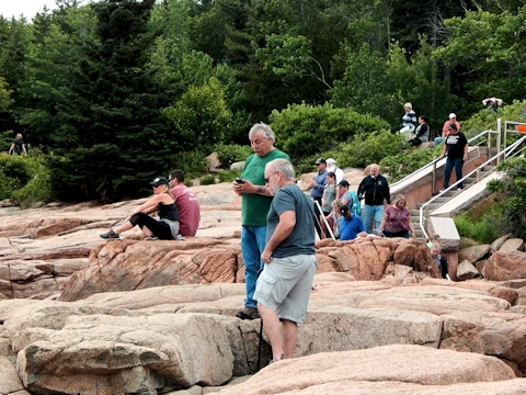 Must-See Carriage Roads, Bar Harbor & Wildlife