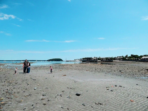 Bar Island Sand Bar
