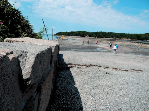 Bar Island Sand Bar