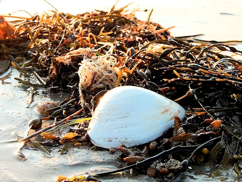 Maine Coastline Exploration - Discovering Natural Beauty and Coastal Delights