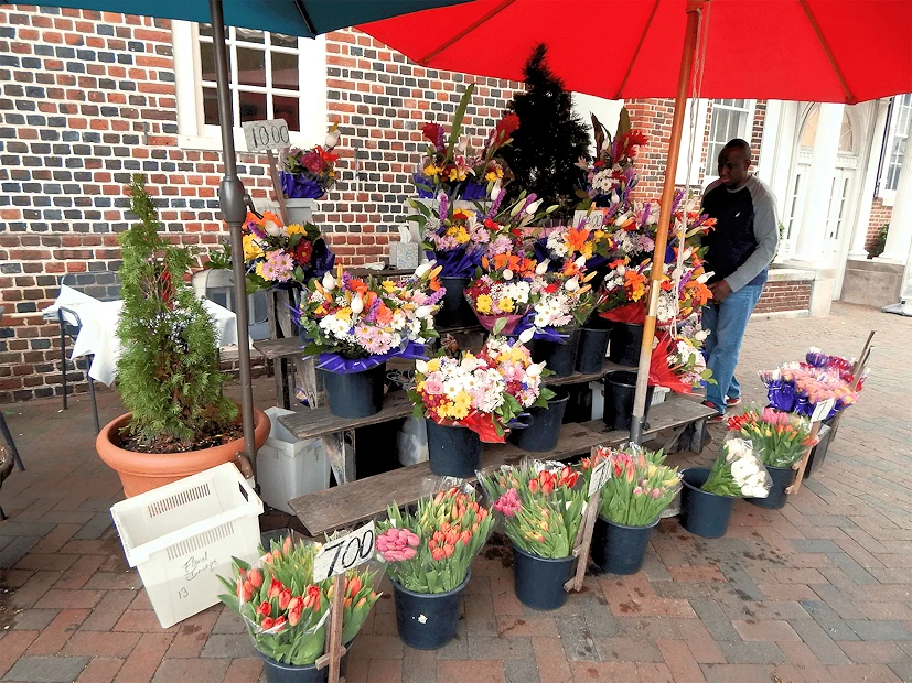 Annapolis Chicken Statues