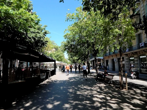 2019 Barcelona Image Gallery