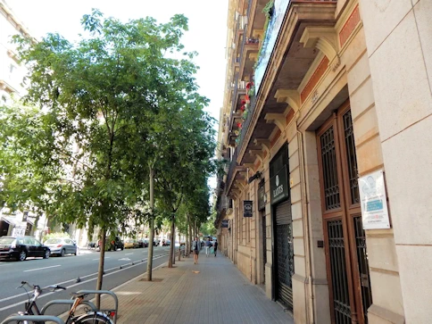 2019 Barcelona Image Gallery