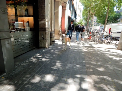 2019 Barcelona Image Gallery