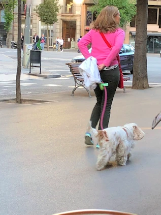 The Dogs of Barcelona