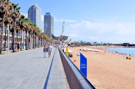 2019 Barcelona Image Gallery