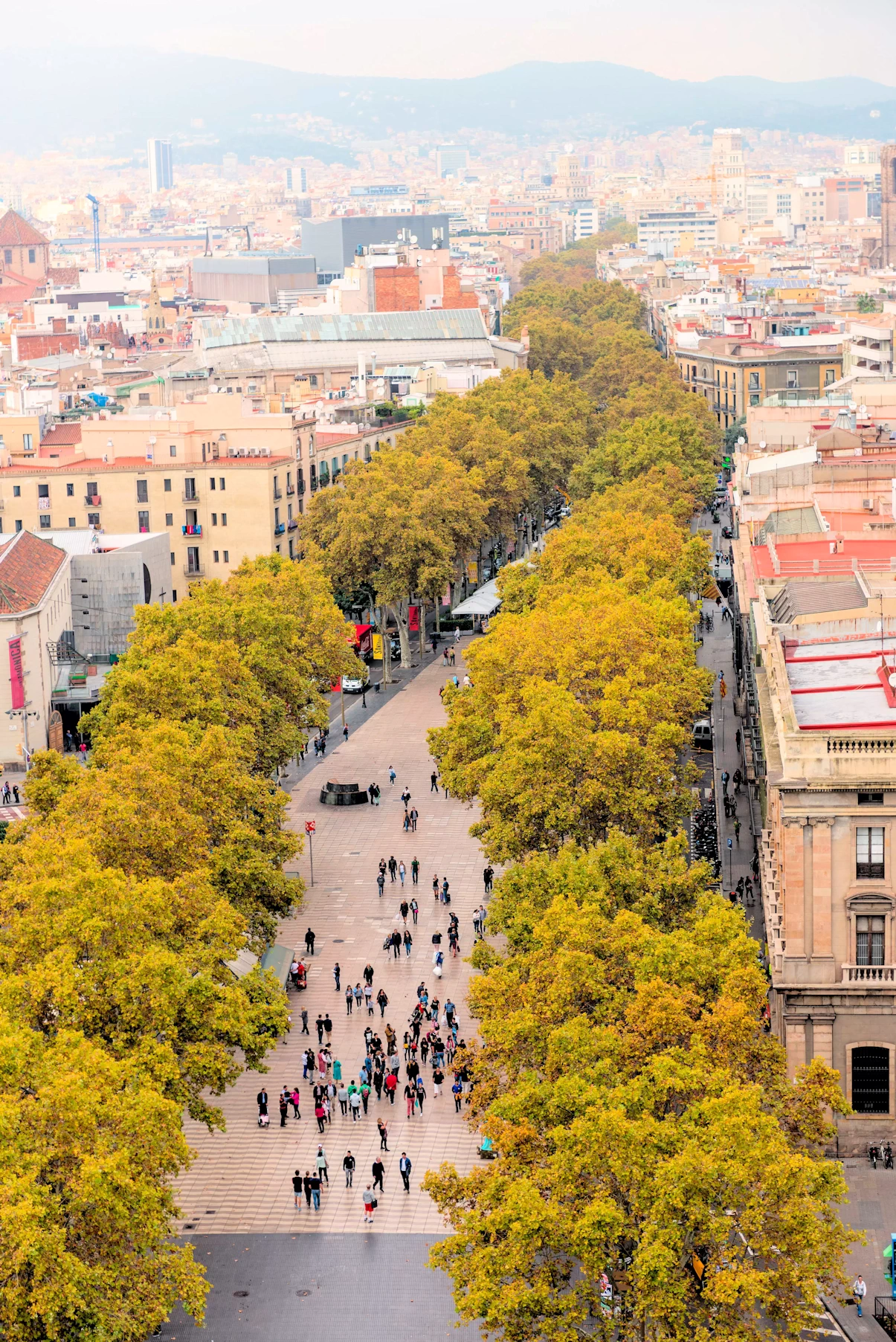 2019 Barcelona Image Gallery