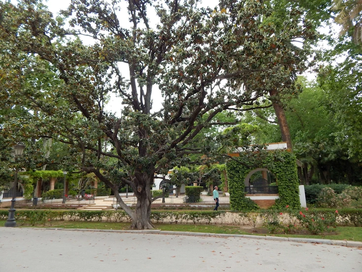 Maria Luisa Park