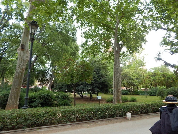 Royal Alcazar Gardens
