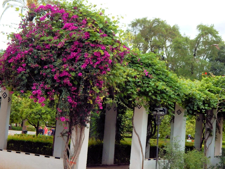Royal Alcazar Gardens