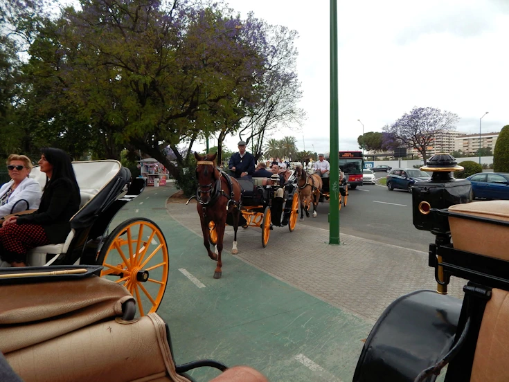 Carraige Central
