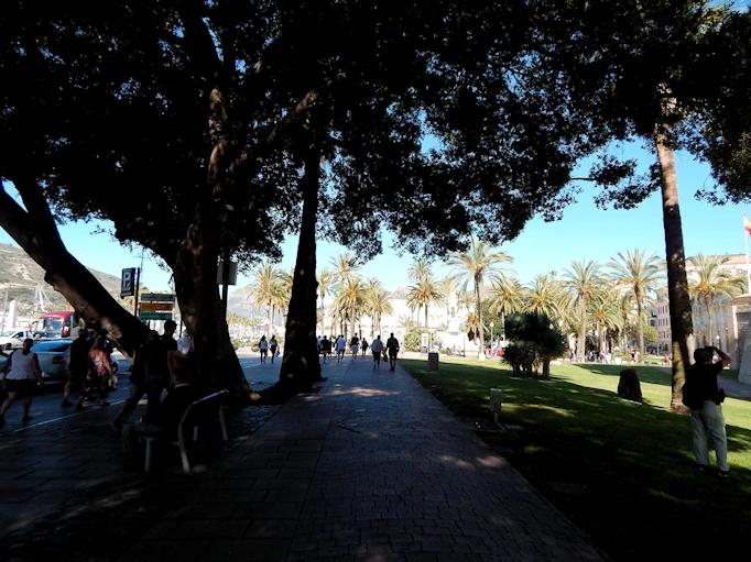 Paseo de Alfonso XII