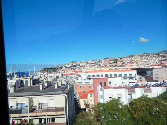 Funchal from the Cable Car
