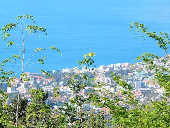 Funchal from the Cable Car