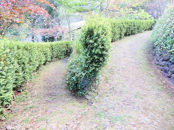 Monte Palace Tropical Garden